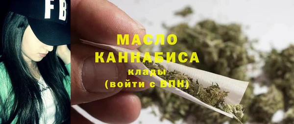 индика Весьегонск