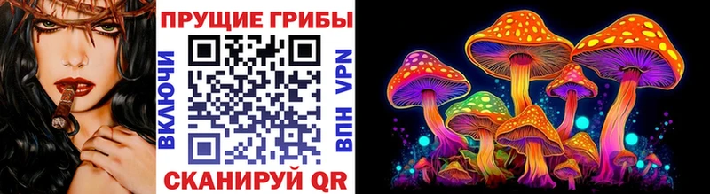 OMG зеркало  наркота  Кузнецк  Псилоцибиновые грибы мухоморы 