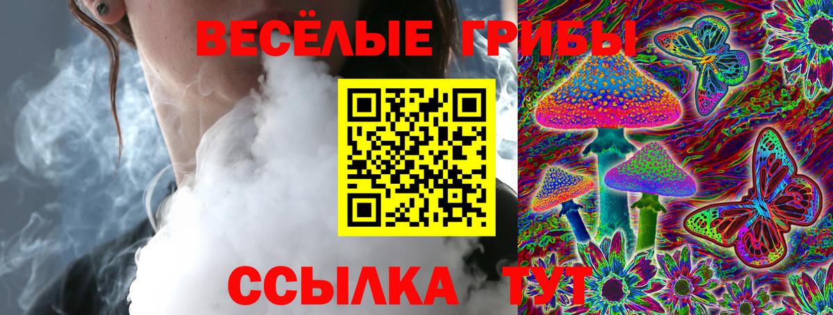 Галлюциногенные грибы MAGIC MUSHROOMS Кузнецк