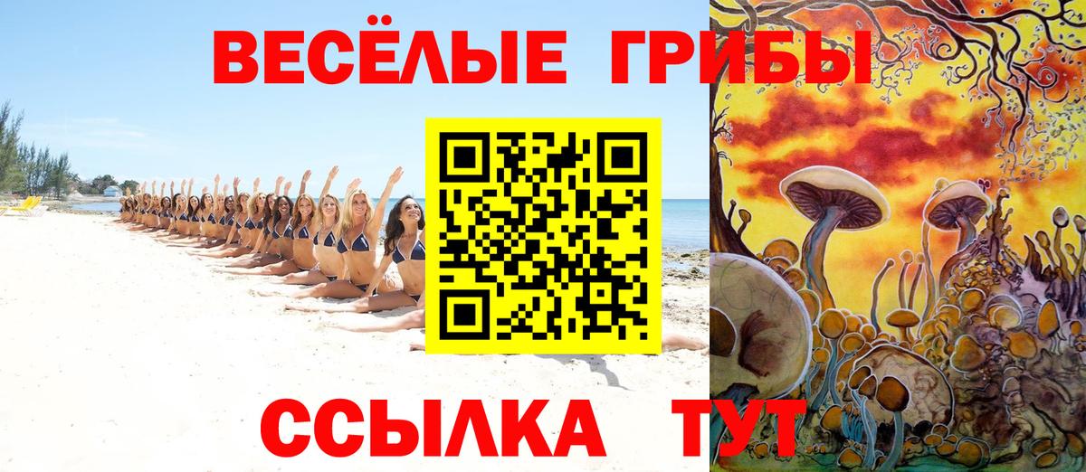 Псилоцибиновые грибы ЛСД  Вход с VPN  Кузнецк 